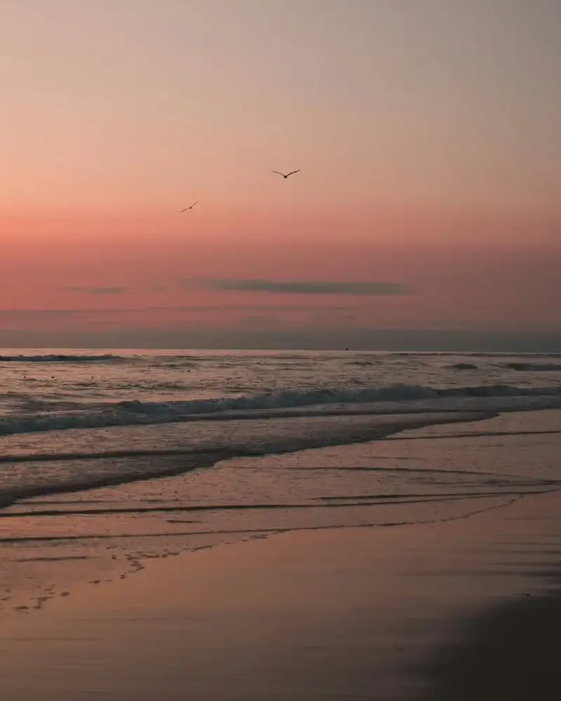 simon-marsault-Y3cmorOBse0-unsplash-copy copy